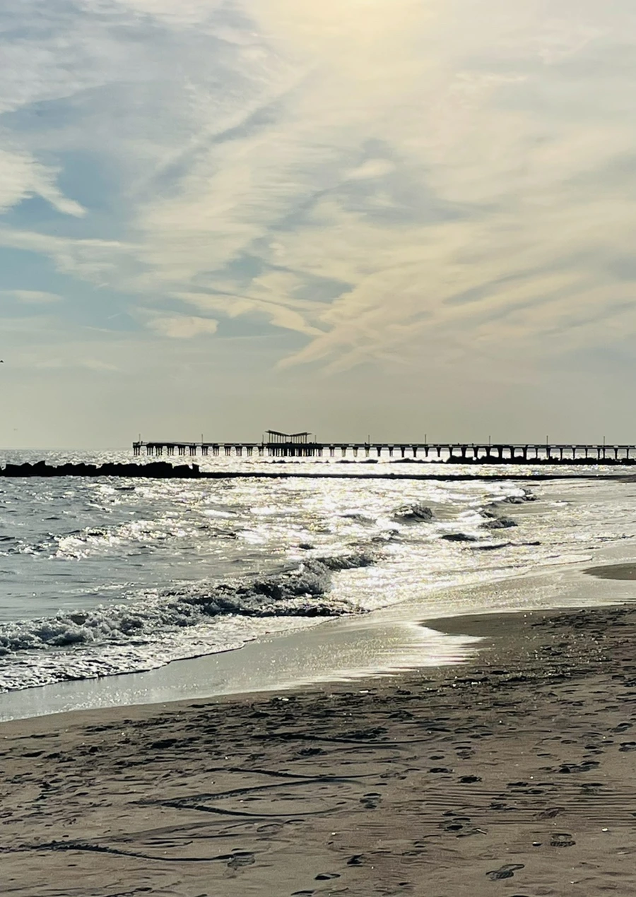 IMG_5101.jpg?type=w966