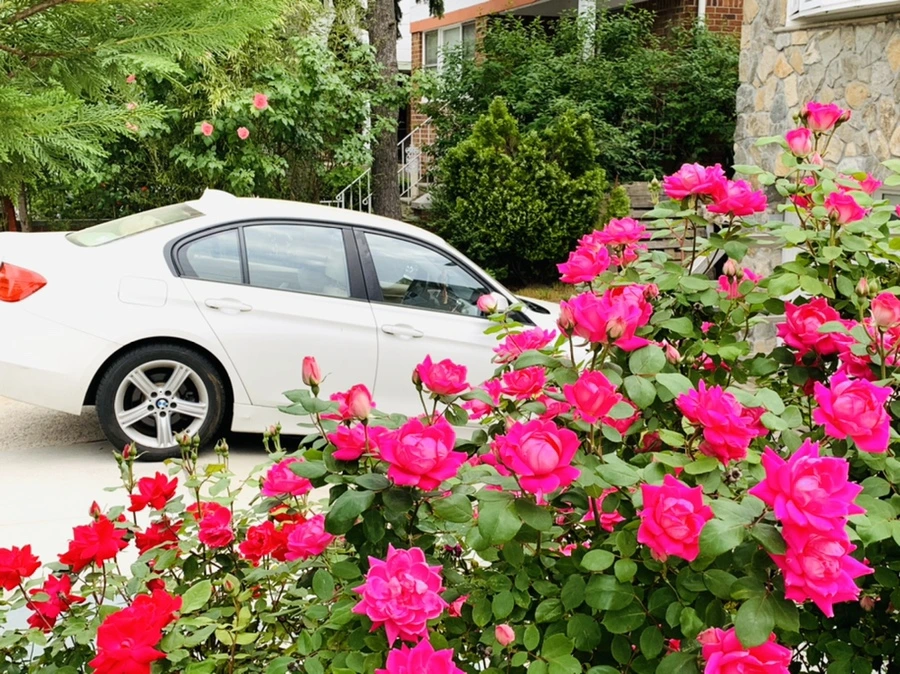 IMG_4789.jpg?type=w966