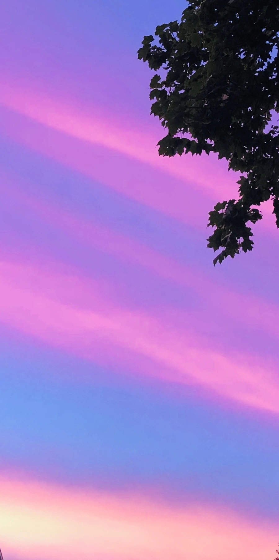 IMG_4567.jpg?type=w966