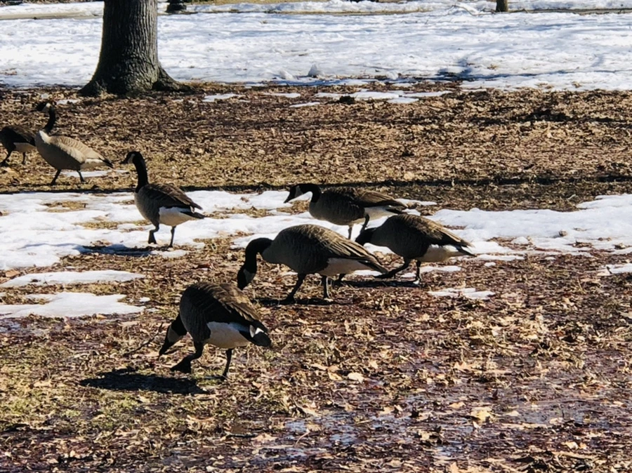 IMG_4675.jpg?type=w966