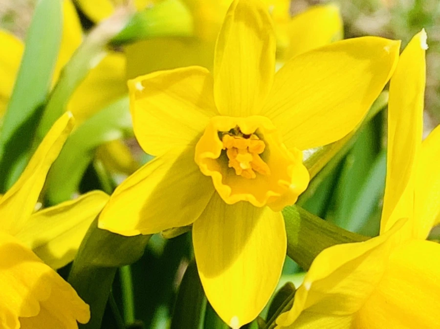 IMG_3421.jpg?type=w966