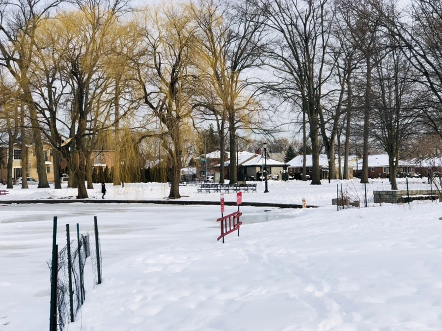 IMG_1663.jpg?type=w966