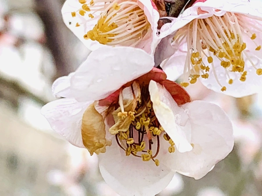 IMG_3970.jpg?type=w966