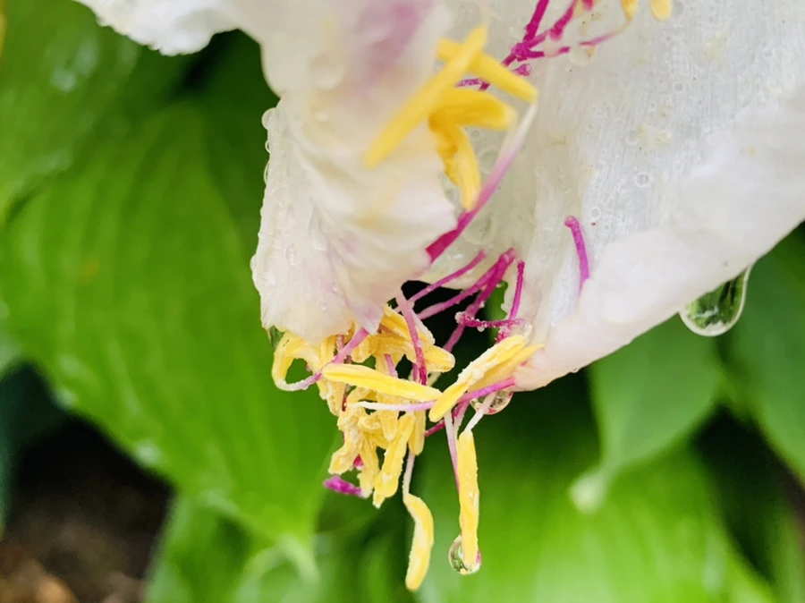 IMG_9317.jpg?type=w966