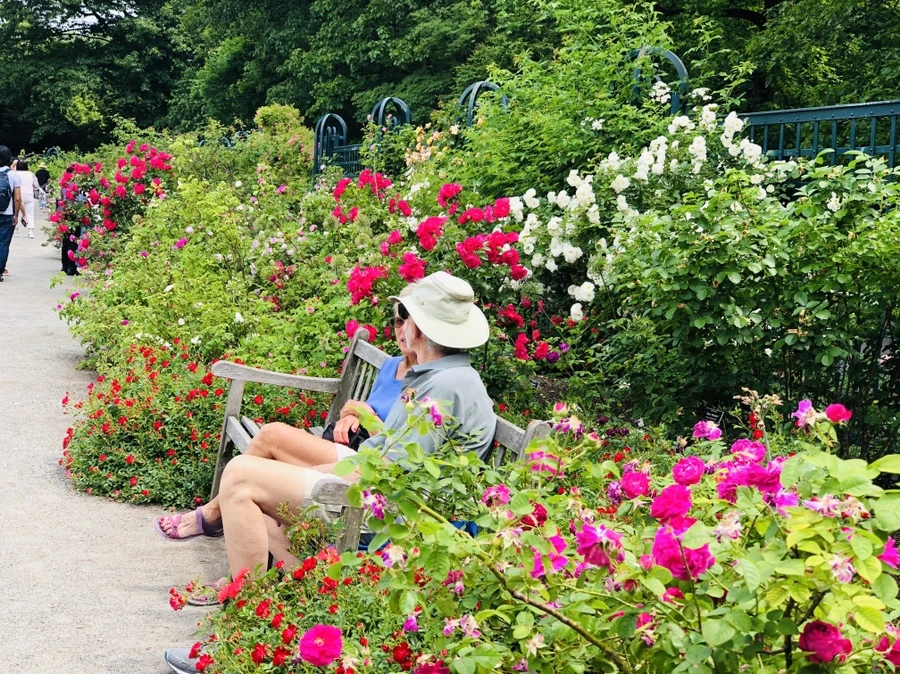 IMG_5676.jpg?type=w966