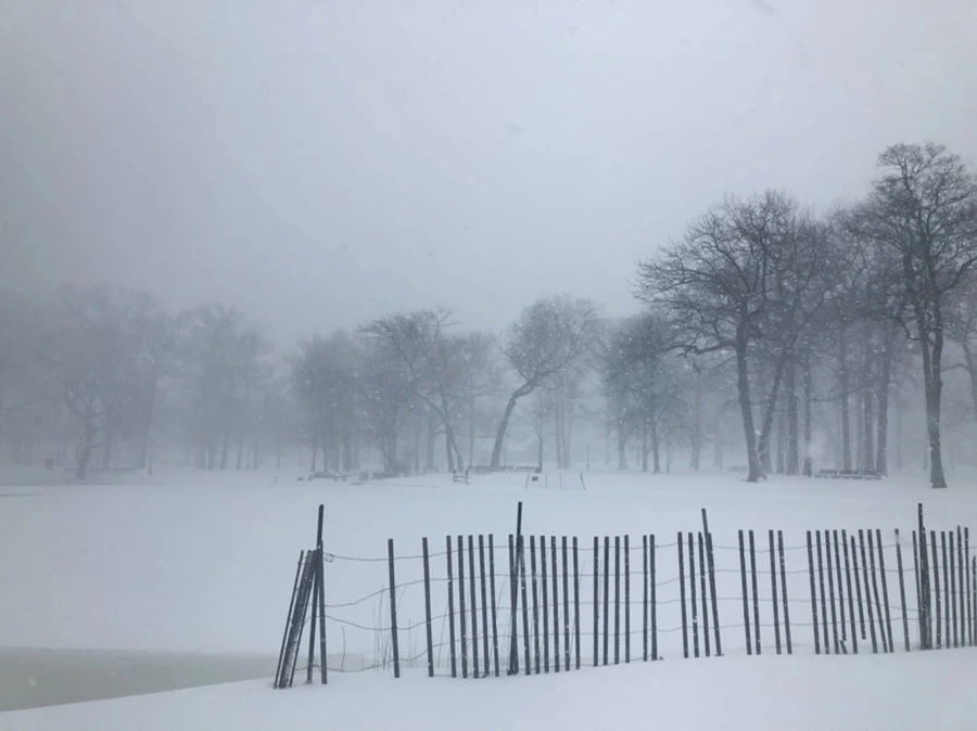 IMG_8821.jpg?type=w966