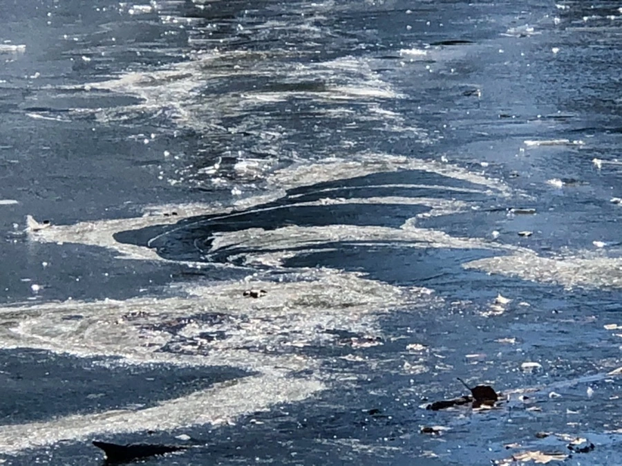 IMG_6624.jpg?type=w966