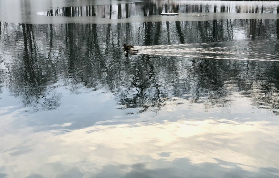 xXK-6iaPTuu4Kiv5Ojvx9ioQSv4