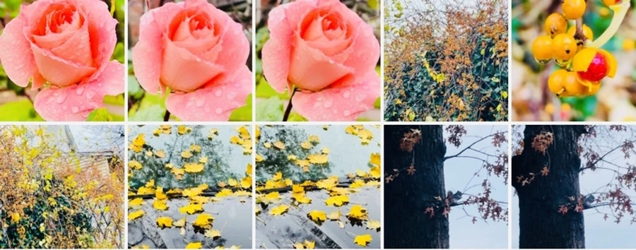 IMG_6135.jpg?type=w966