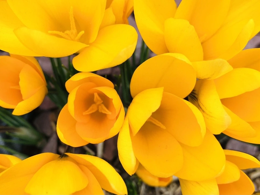 EVHLGp1FcK0Z0SM17Ax7fjD50jk