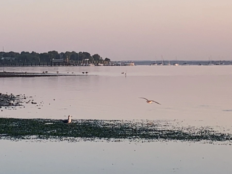 7Y5cEMcuPN_wICx5lAsVyPcWL2Y