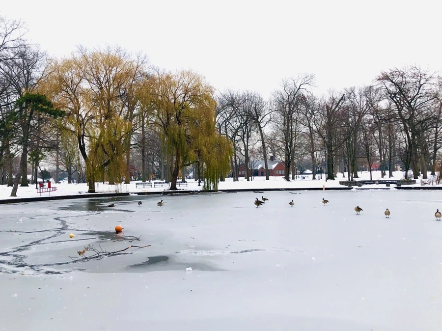 IMG_7559.jpg?type=w966