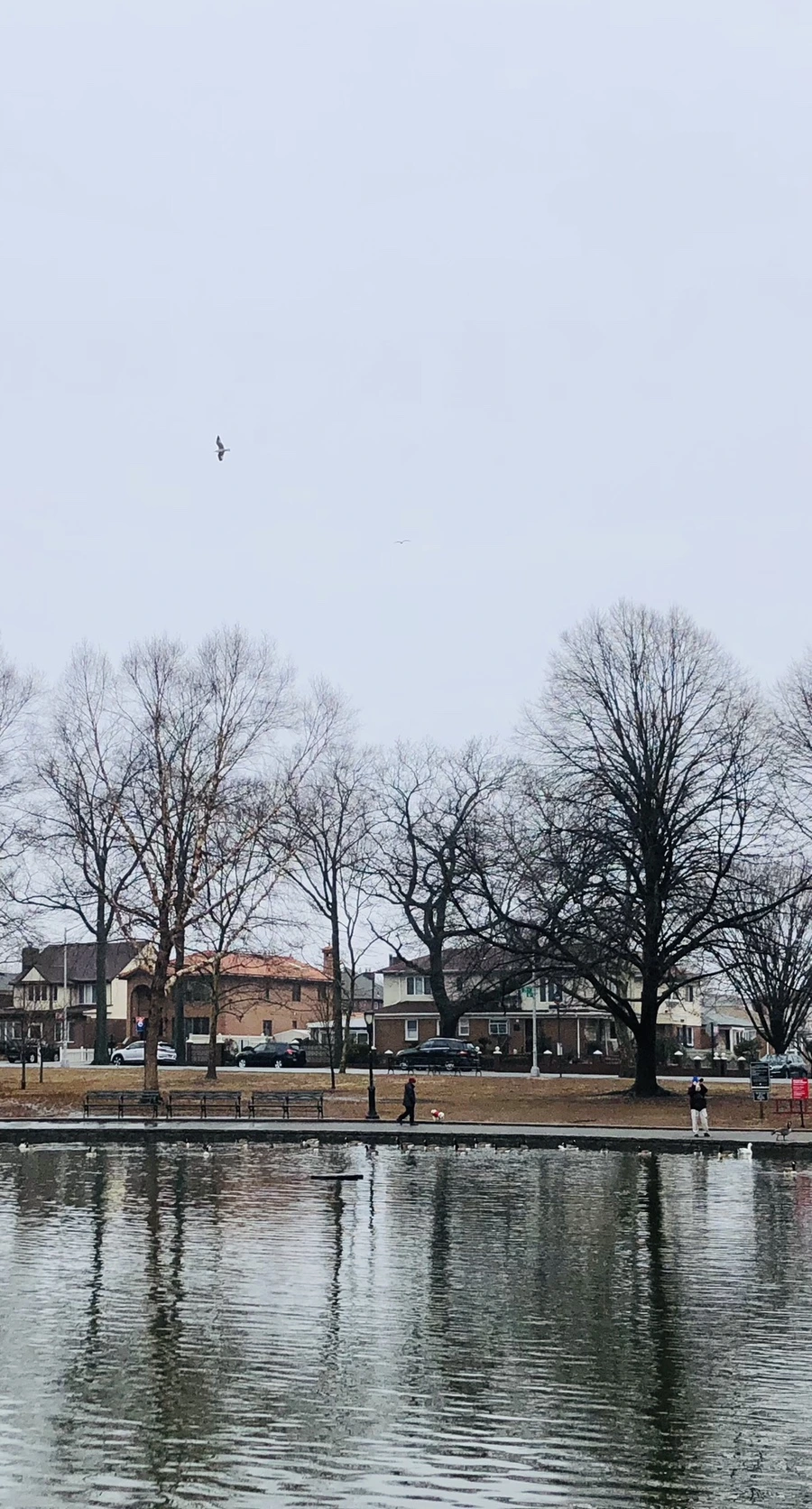 IMG_0035.jpg?type=w966