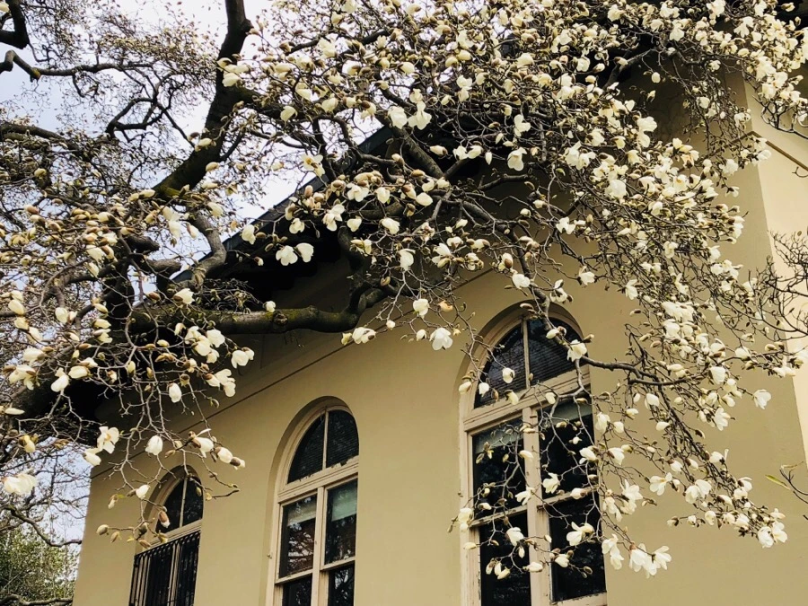 IMG_3837.jpg?type=w966