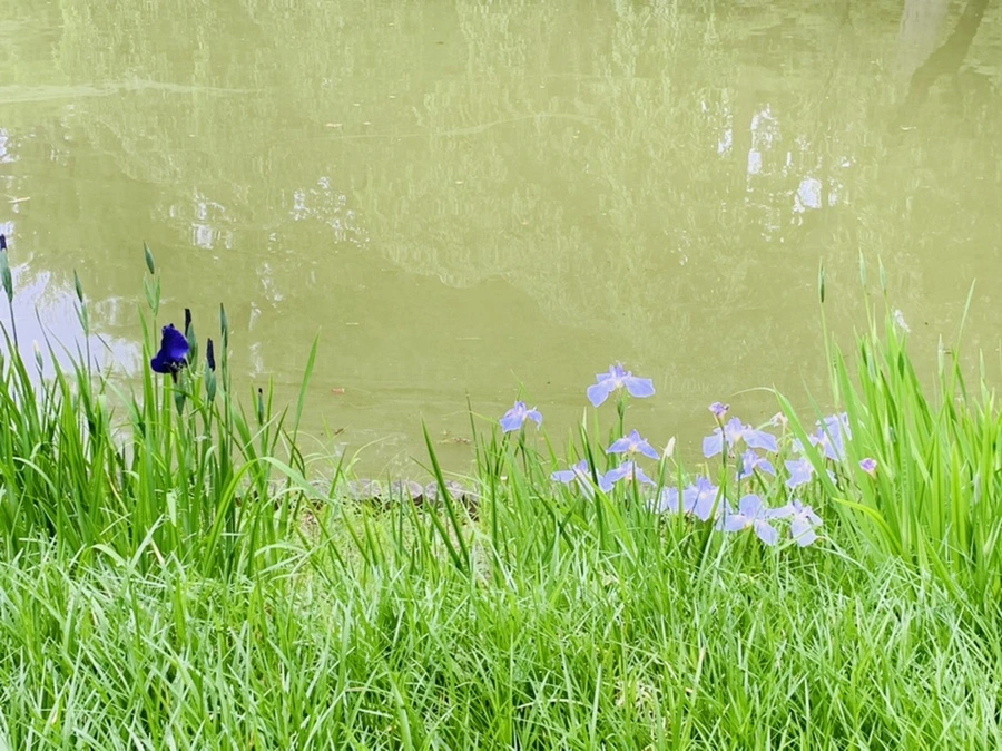 IMG_2979.jpg?type=w966