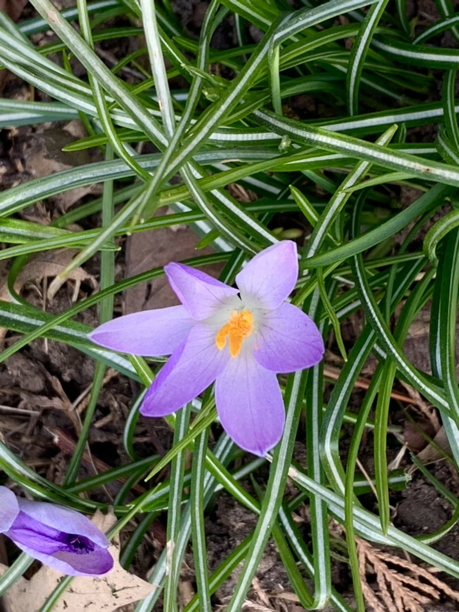 IMG_0275.jpg?type=w966