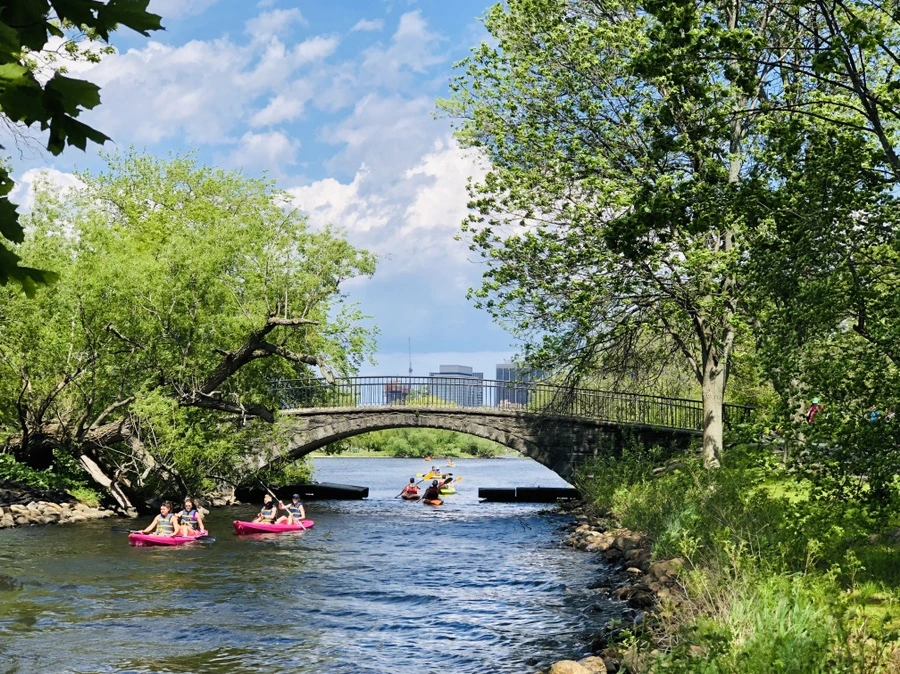 IMG_5229.jpg?type=w966