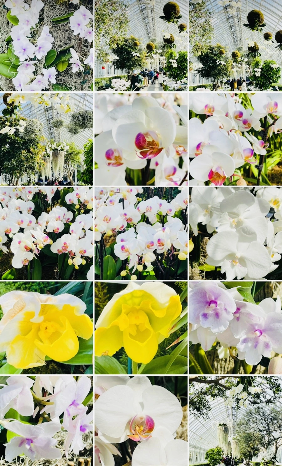 IMG_4691.jpg?type=w966