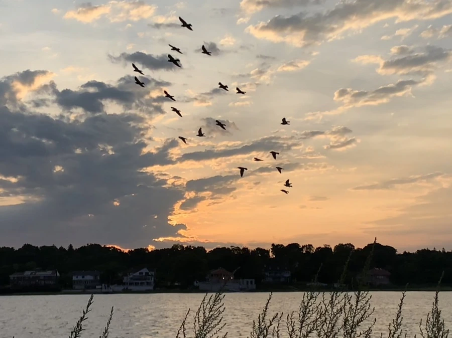 IMG_1726.jpg?type=w966