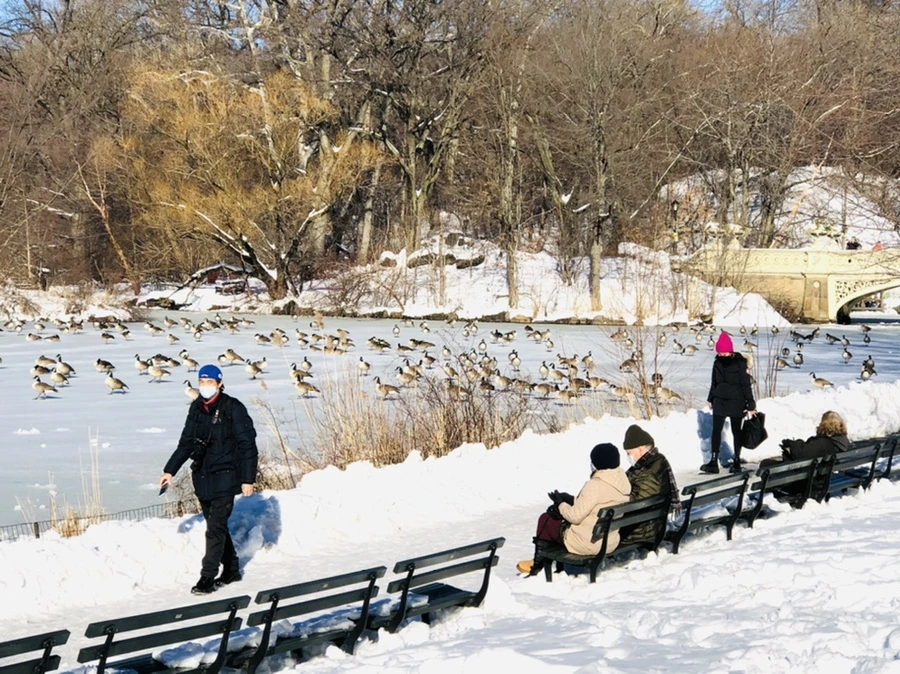 IMG_9850.jpg?type=w966