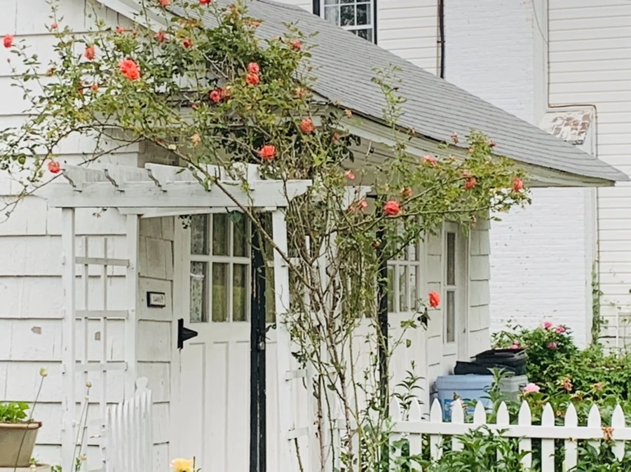 IMG_2496.jpg?type=w966