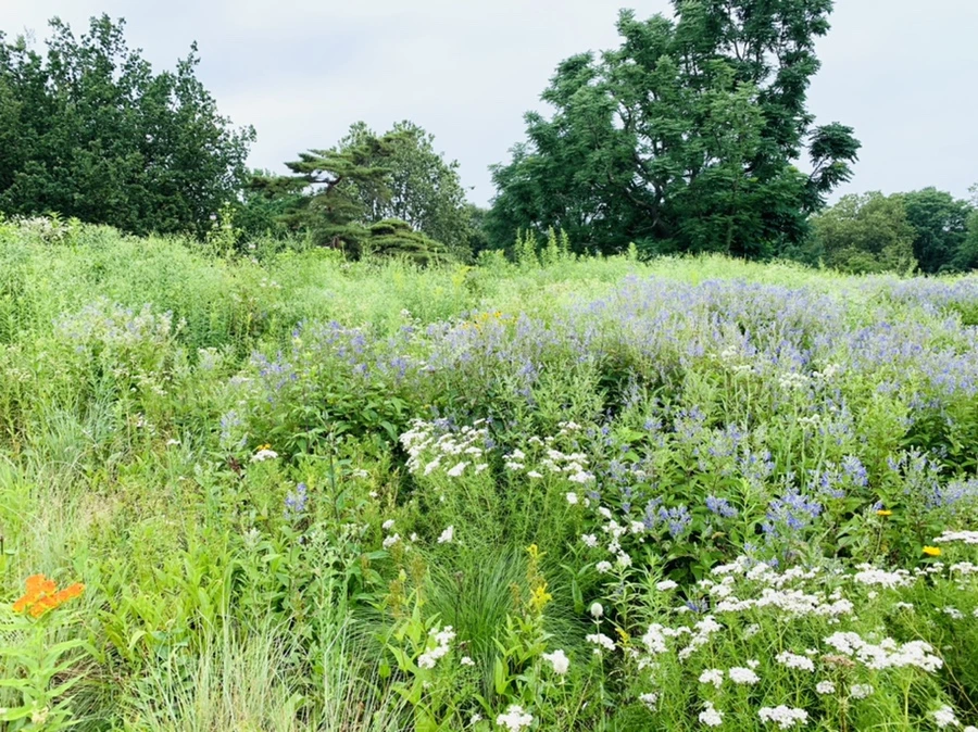 IMG_2657.jpg?type=w966