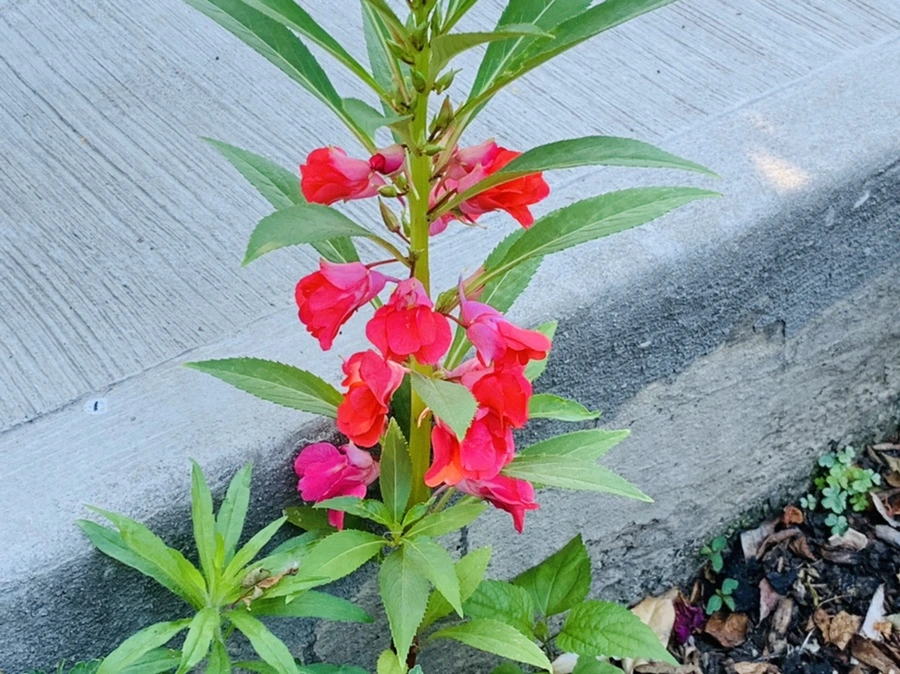 IMG_4823.jpg?type=w966