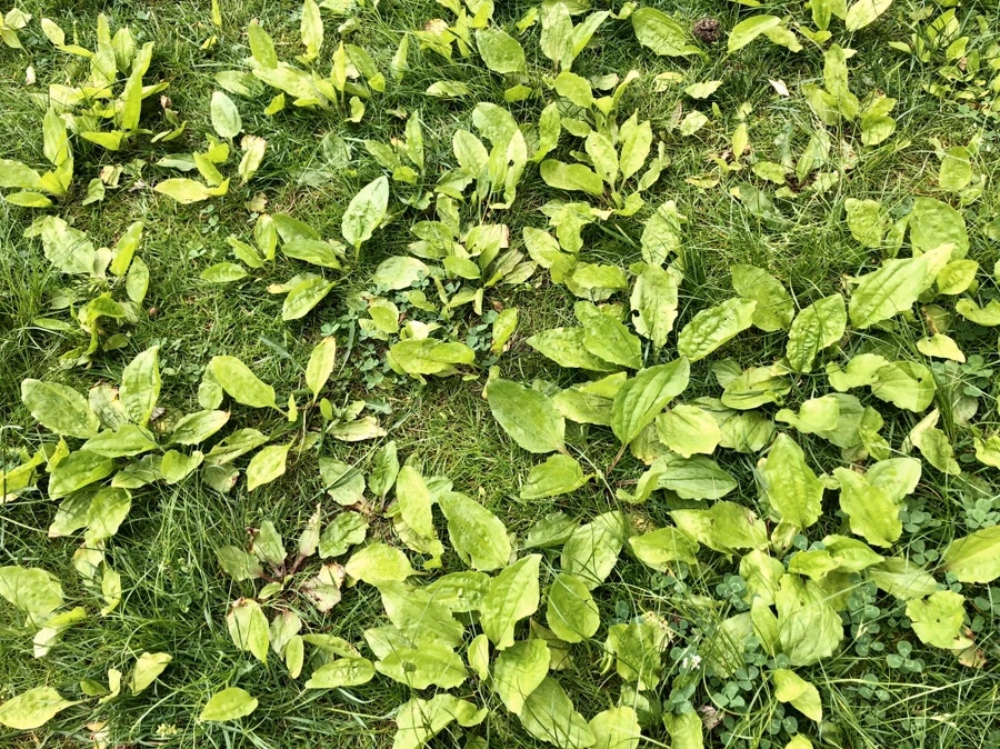 IMG_8881.jpg?type=w966