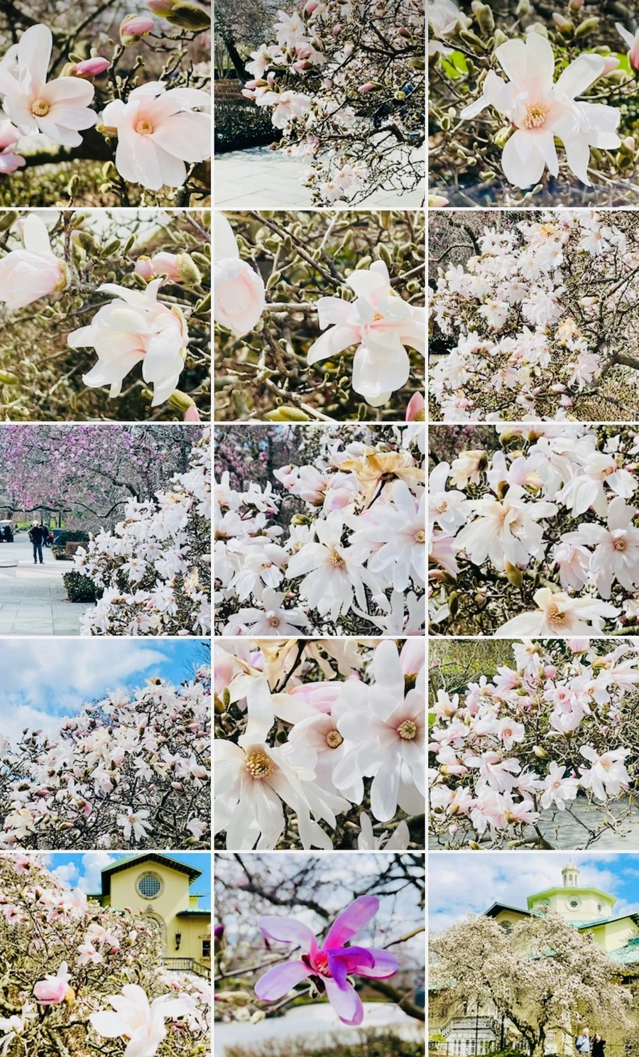 IMG_7307.jpg?type=w966