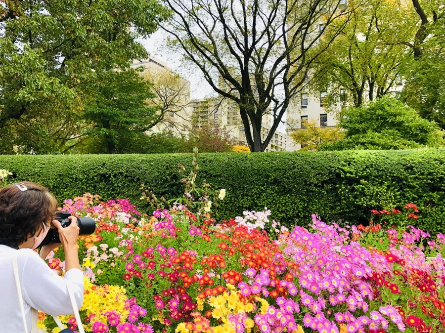 IMG_2455.jpg?type=w966