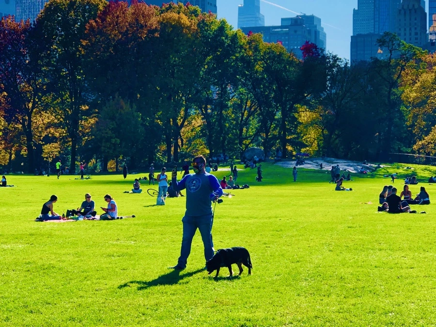 IMG_3815.jpg?type=w966