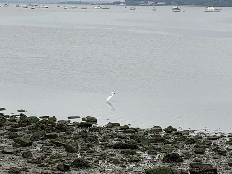 IMG_3630.jpg?type=w966