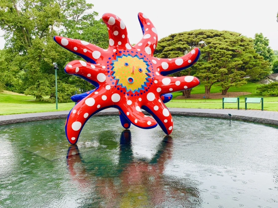 IMG_2705.jpg?type=w966