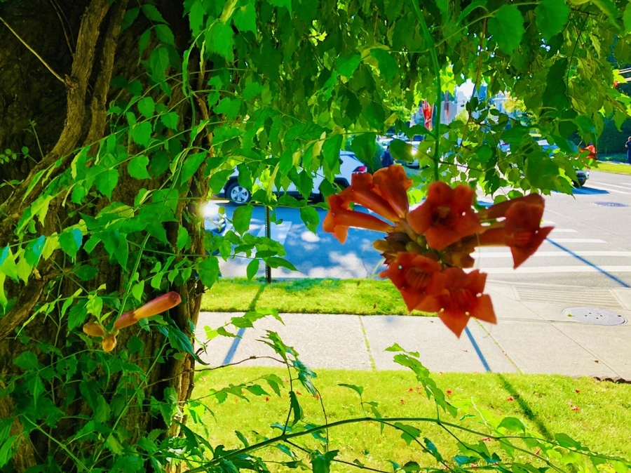 IMG_2767.jpg?type=w966