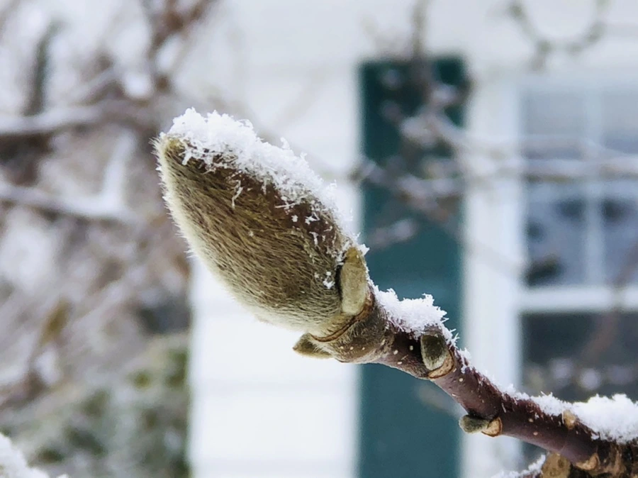 IMG_3553.jpg?type=w966