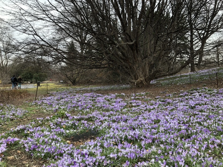 IMG_1984.jpg?type=w966