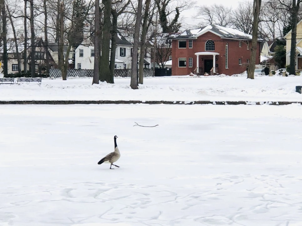 IMG_2721.jpg?type=w966