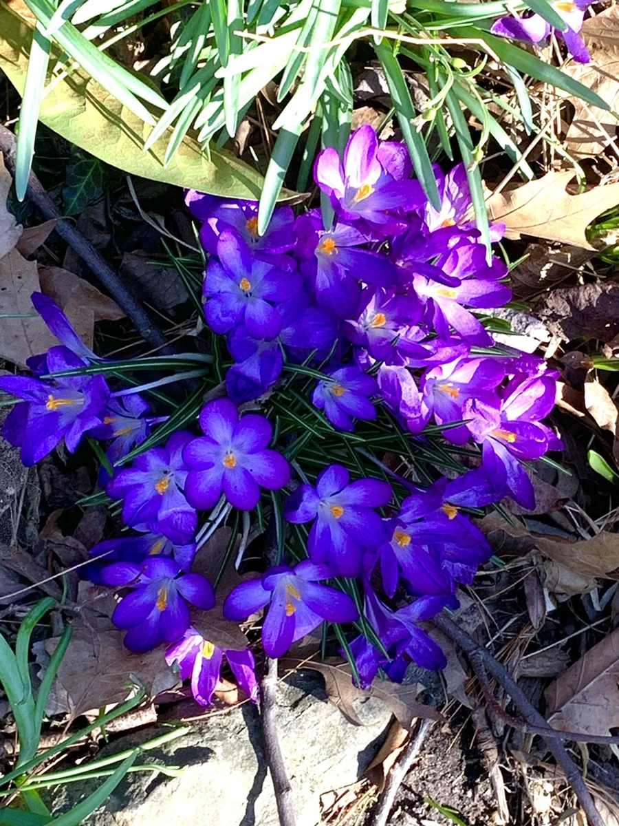 IMG_5664.jpg?type=w966