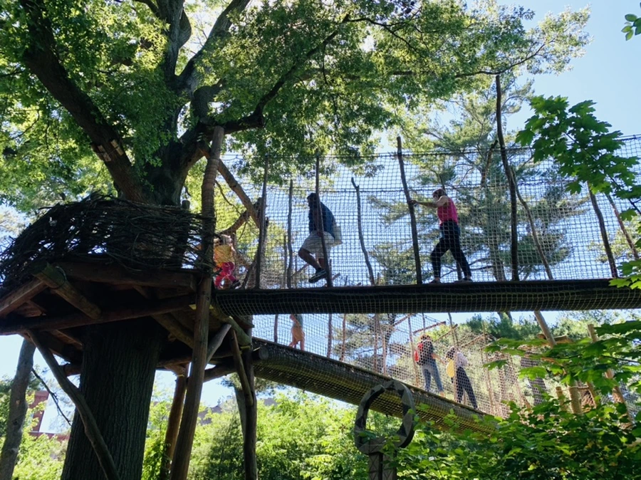 IMG_4312.jpg?type=w966