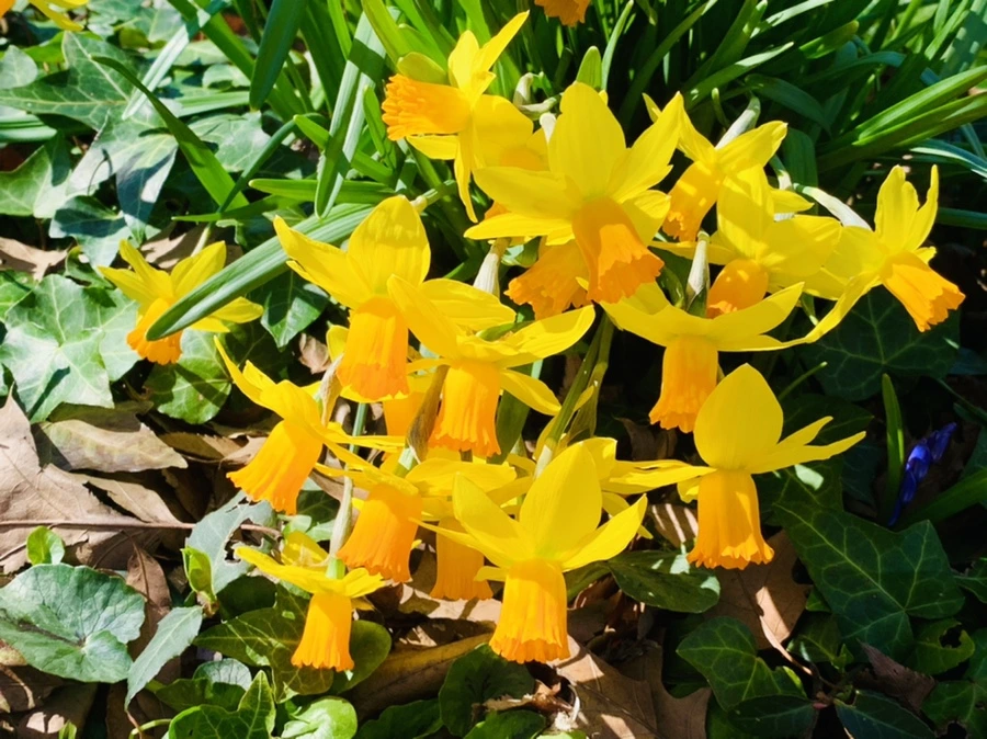 IMG_5730.jpg?type=w966