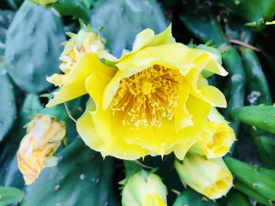 IMG_0264.jpg?type=w966