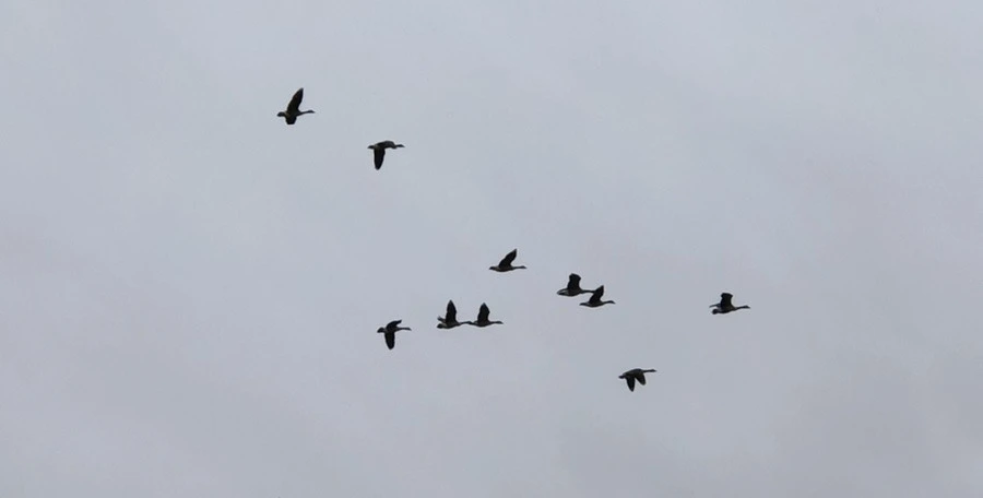 WtBwrOWvGzcmlx7mKl4AablUXCw