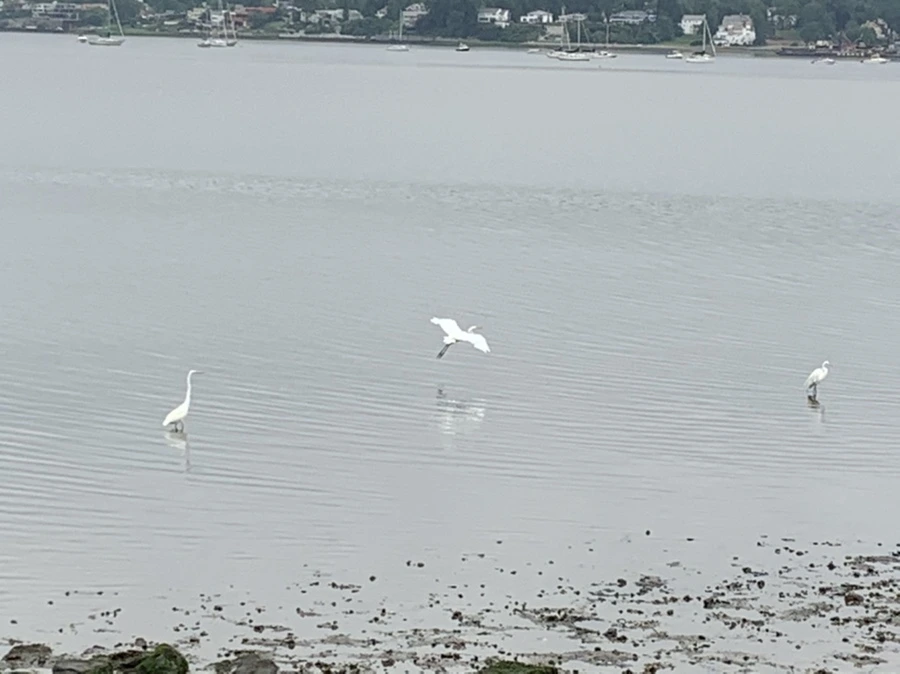 IMG_3664.jpg?type=w966