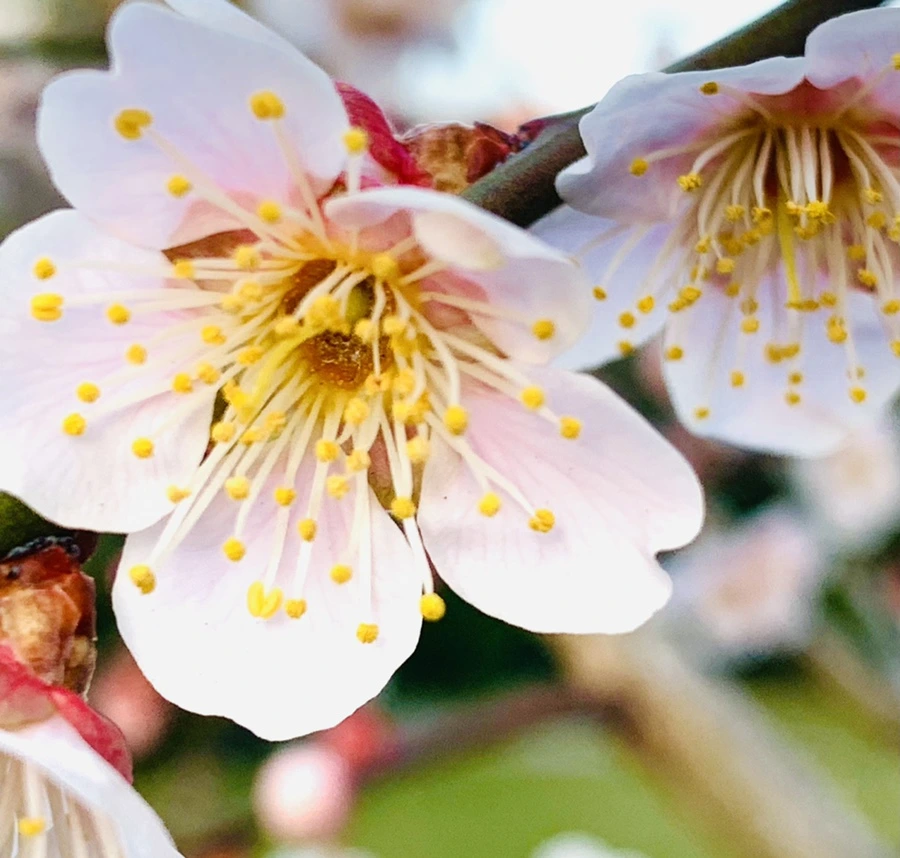 IMG_2231.jpg?type=w966