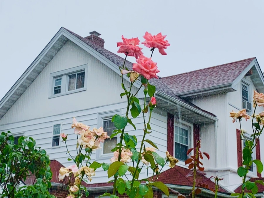 IMG_3829.jpg?type=w966