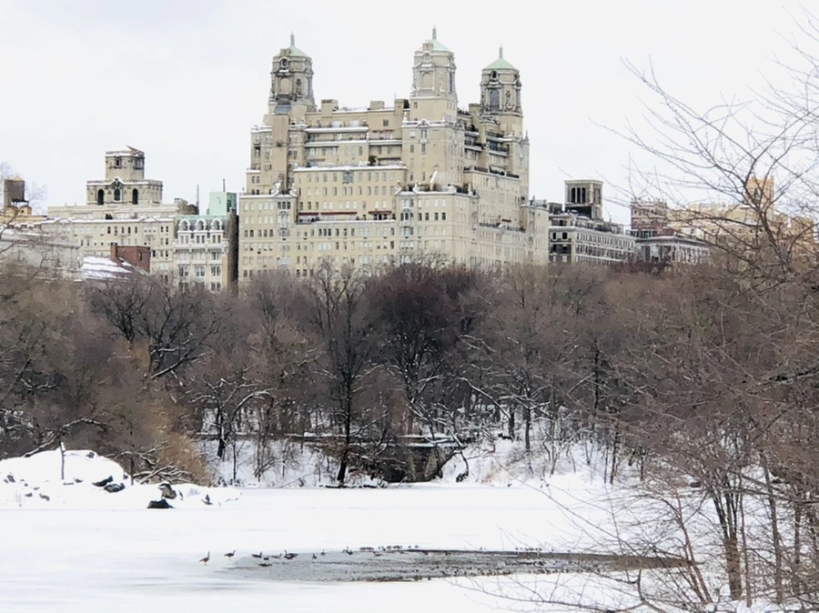 IMG_9502.jpg?type=w966