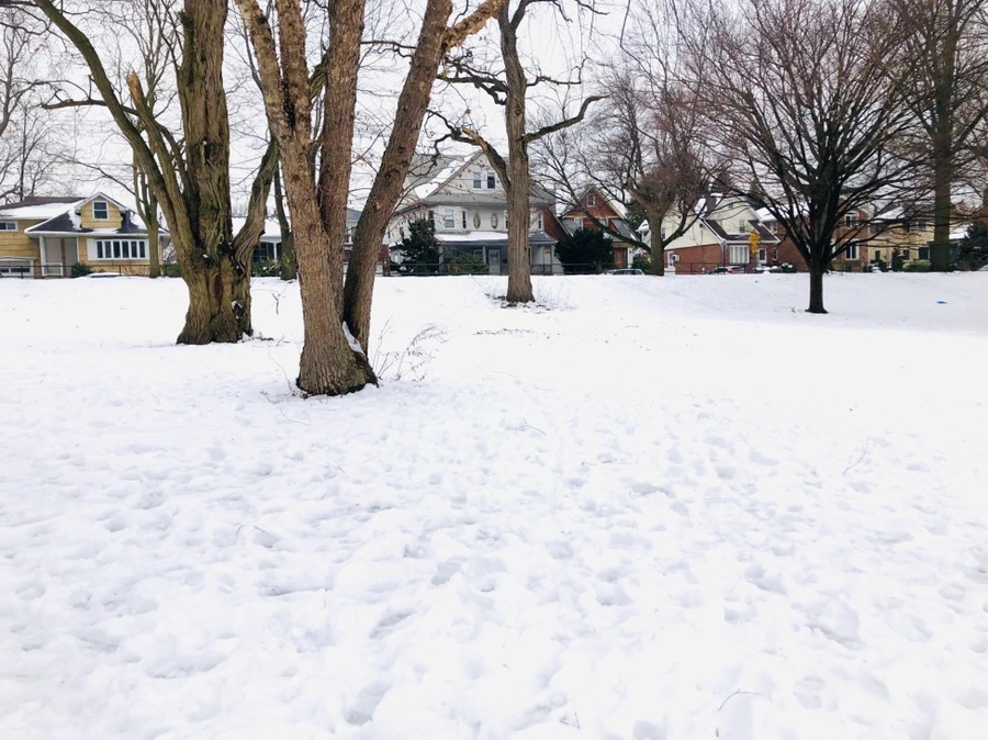 IMG_7573.jpg?type=w966