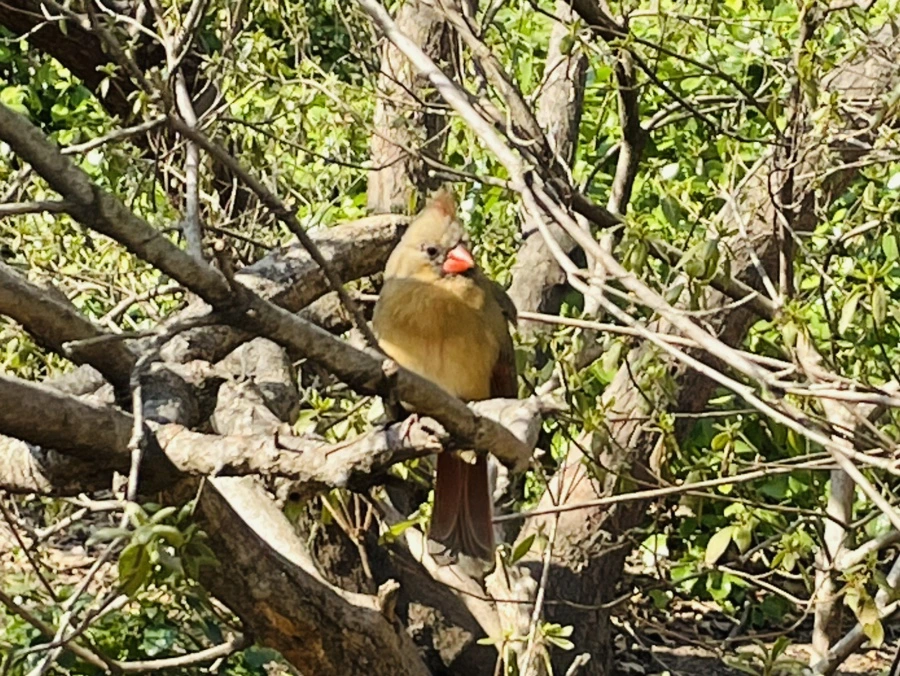 IMG_5602.jpg?type=w966