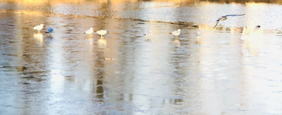 IMG_0856.jpg?type=w966