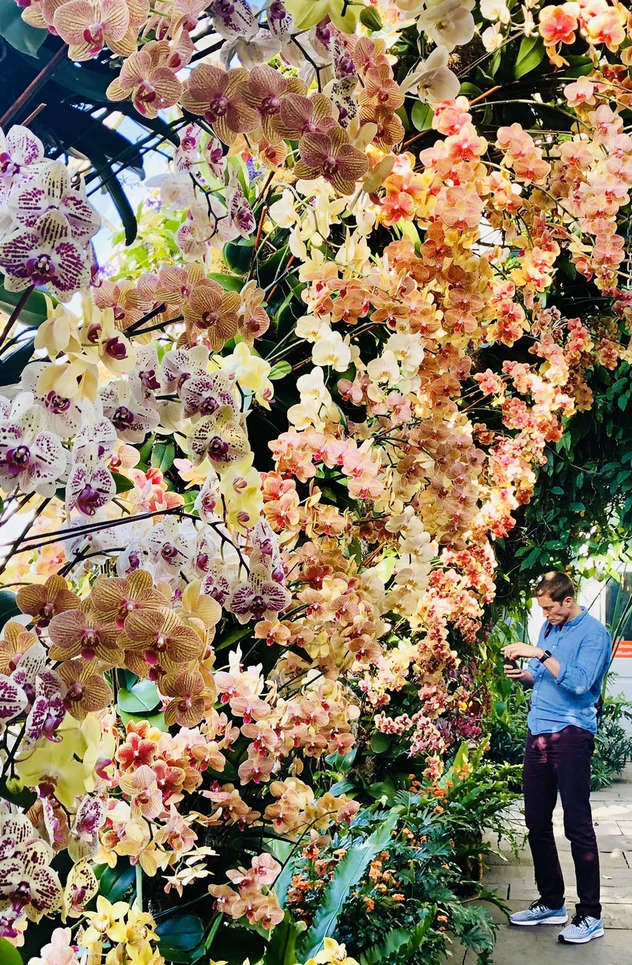 IMG_6266.jpg?type=w966